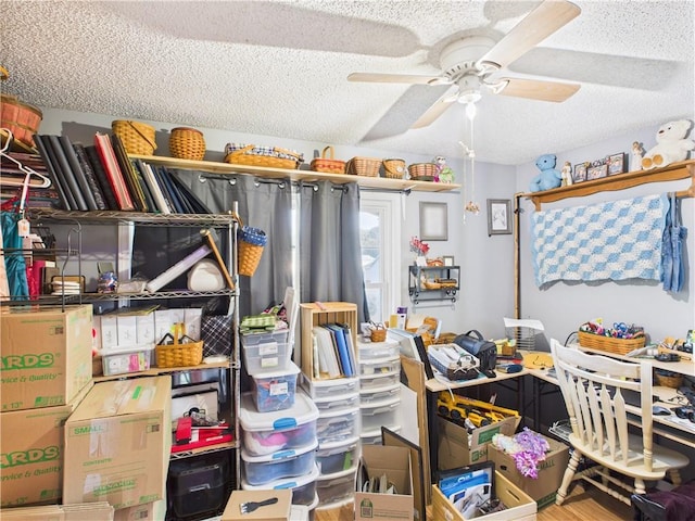 305 California Ave, Windsor, MO 65360 - storage with ceiling fan