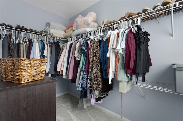 walk in closet featuring carpet floors