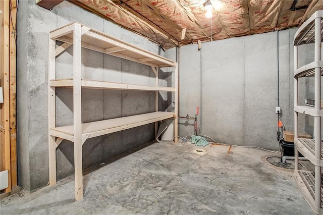 3204 SW Alice Ln, Lees Summit, MO 64082 - view of storage room