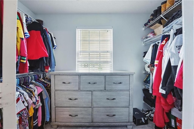 spacious closet featuring carpet floors
