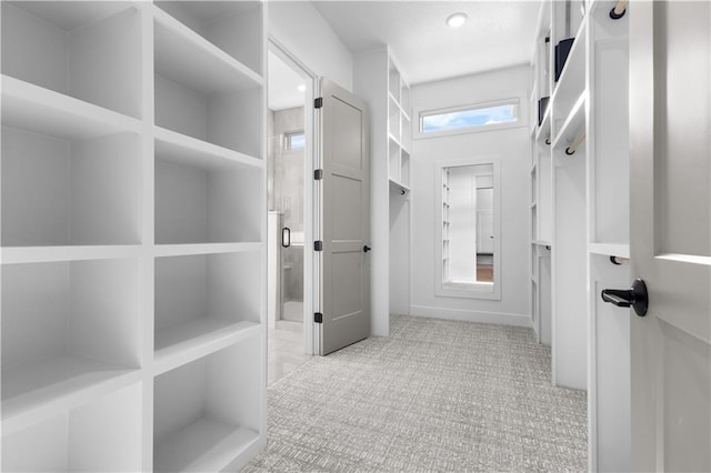 14511 S Dawson St, Olathe, KS 66061 - walk in closet featuring carpet floors