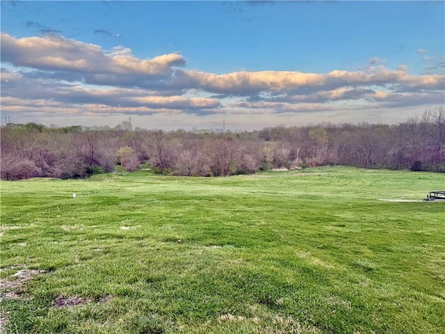 view of yard featuring a rural view