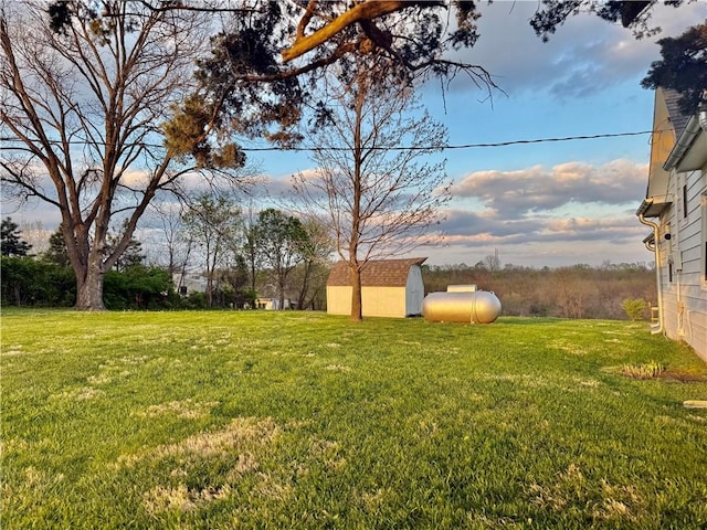 view of yard featuring a storage unit and an outbuilding