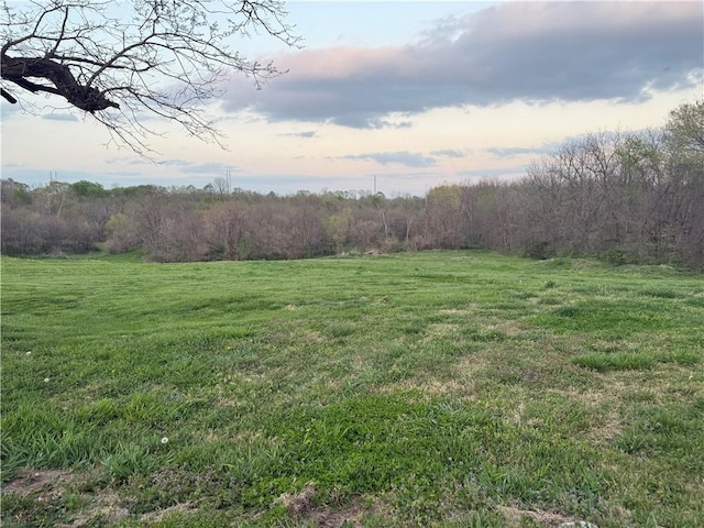 view of yard with a rural view and a view of trees