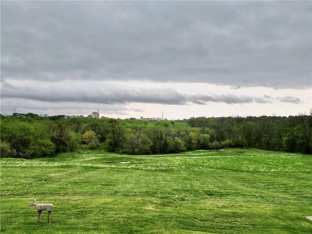 view of landscape featuring a rural view