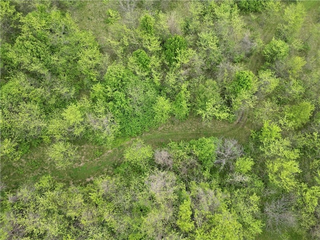 view of local wilderness