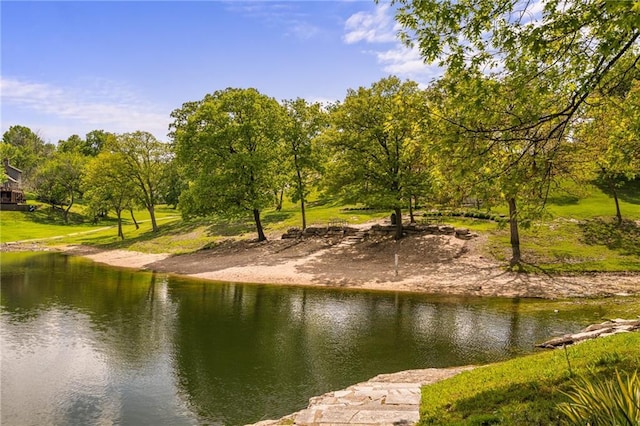 water view with a tree filled landscape