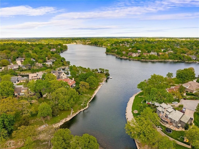 aerial perspective of suburban area featuring a large body of water and a tree filled landscape