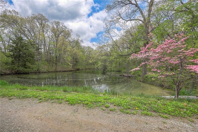 31025 203rd St, Leavenworth, KS 66048 - water view with a view of trees