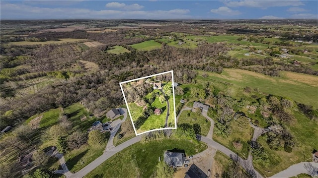 drone / aerial view
