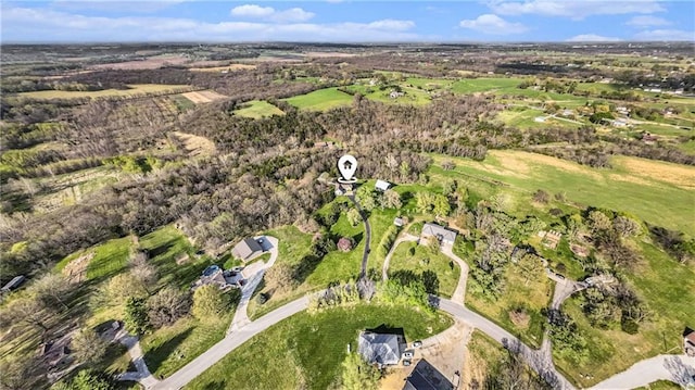 bird's eye view