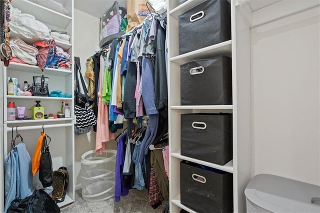 spacious closet with carpet