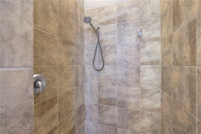 interior details with tiled shower