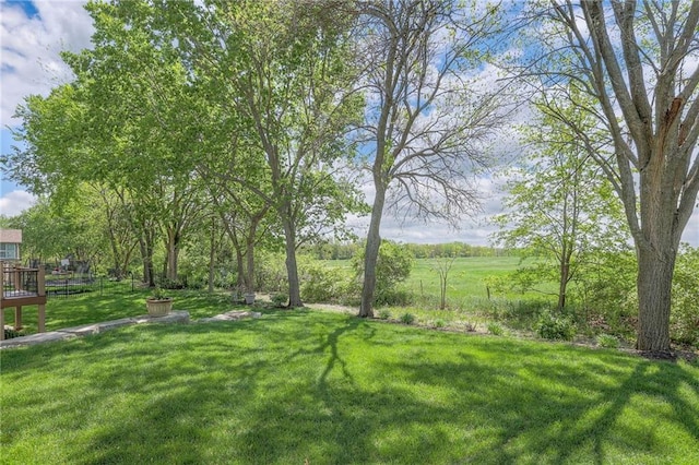 view of yard
