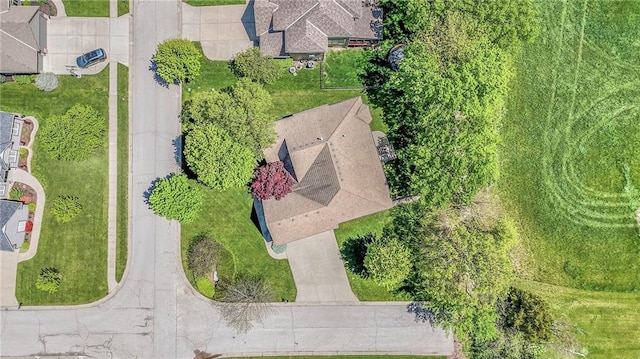 bird's eye view