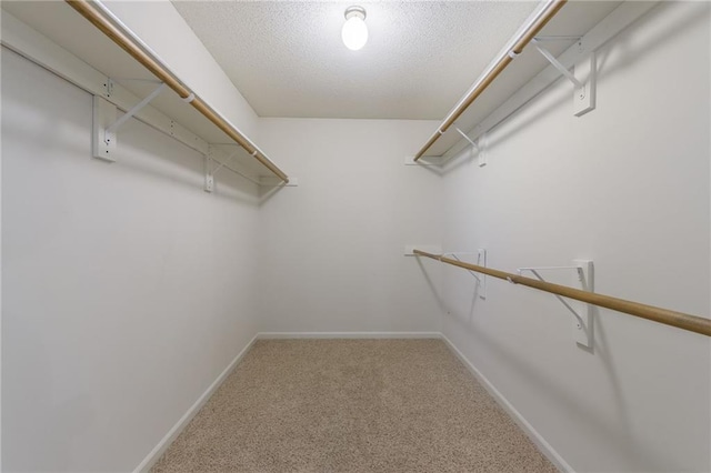 spacious closet featuring carpet floors