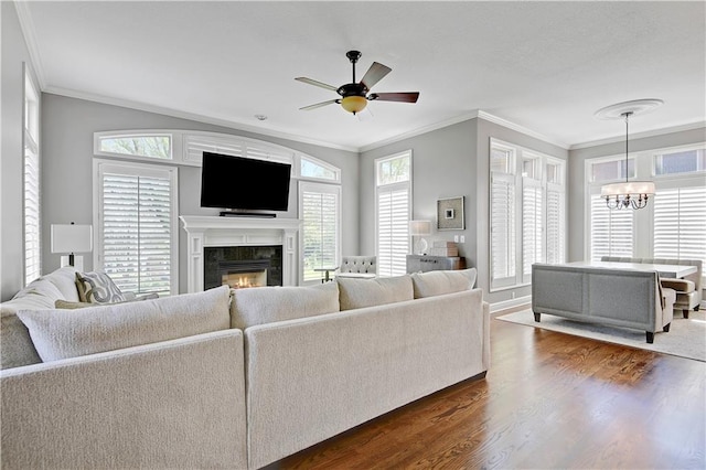 living area with crown molding, dark wood-style flooring, ceiling fan with notable chandelier, and a wealth of natural light
