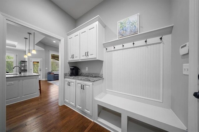 mudroom with a sink and dark wood-type flooring