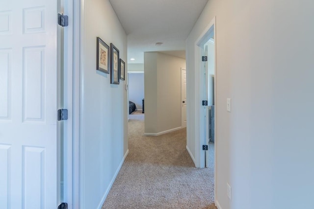 14108 Pine Valley Ct, Basehor, KS 66007 - hall featuring carpet floors and baseboards
