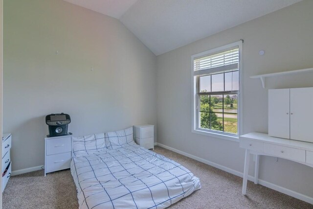 14108 Pine Valley Ct, Basehor, KS 66007 - unfurnished bedroom featuring vaulted ceiling, carpet, and baseboards