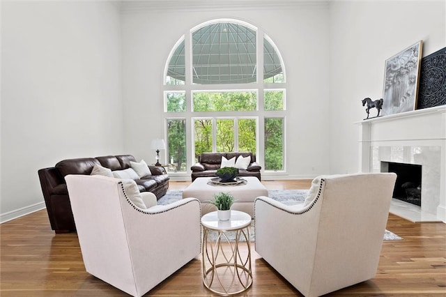living room featuring ornamental molding, a high ceiling, a healthy amount of sunlight, and a premium fireplace