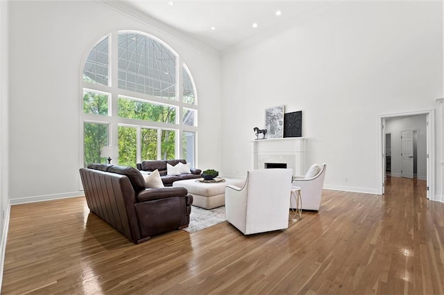 living room with baseboards, a high ceiling, wood finished floors, and a fireplace