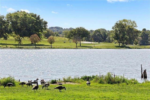 24919 W 145th St, Olathe, KS 66061 - water view