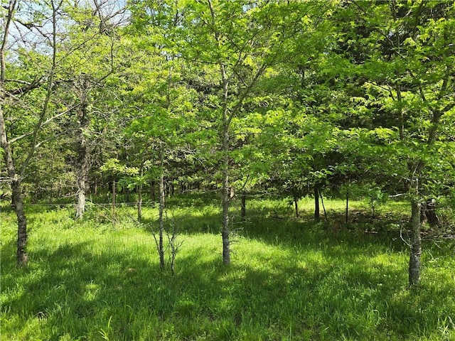 view of tree filled area