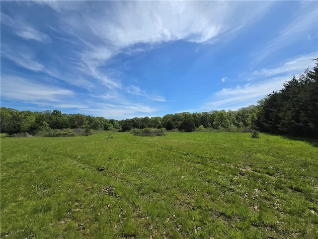 view of undeveloped land with rural landscape