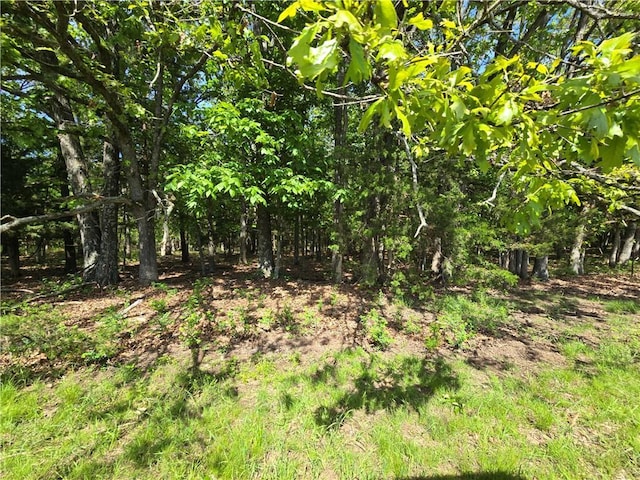 view of nature