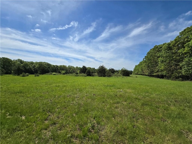 view of local wilderness featuring rural landscape