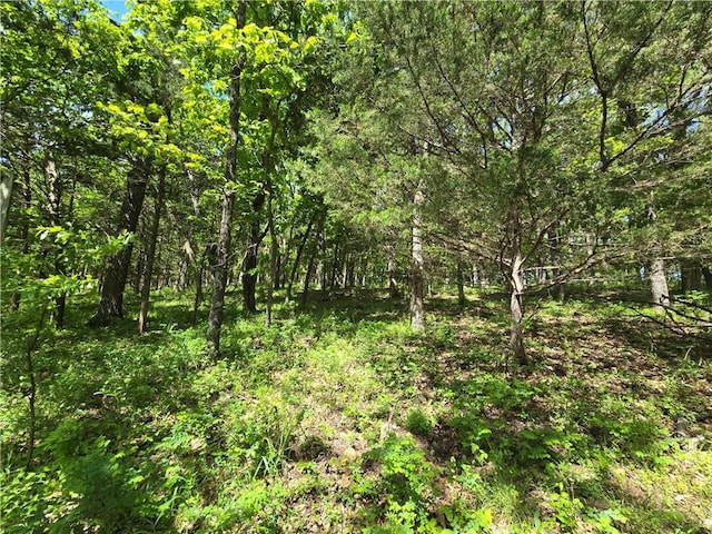 view of woods