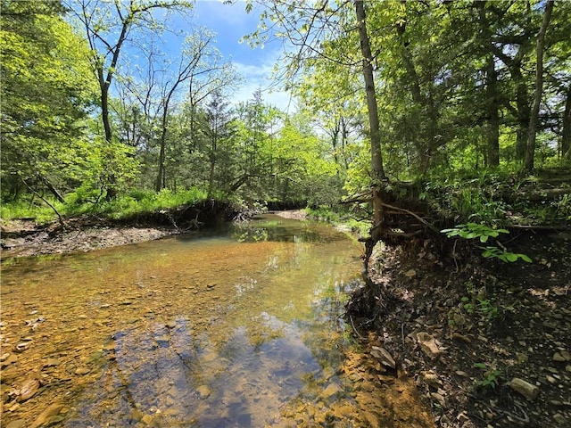 view of nature