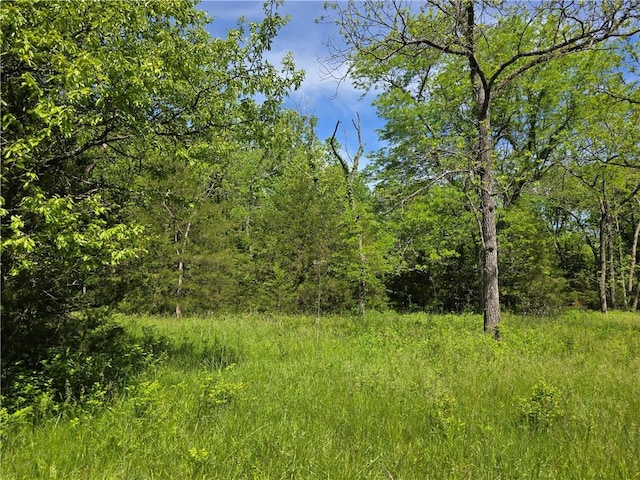 view of wooded area