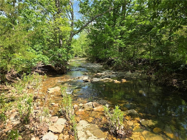 view of undeveloped land