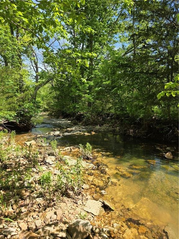 view of undeveloped land