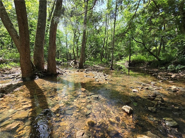view of undeveloped land
