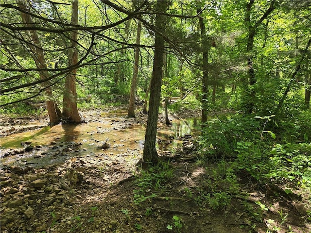 view of tree filled area