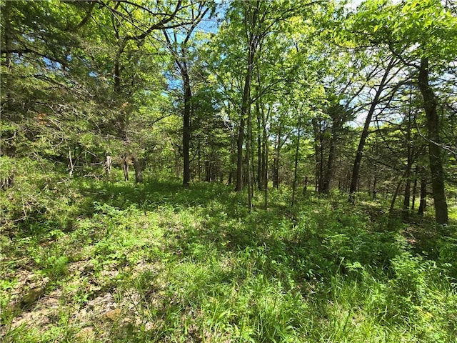 view of local wilderness
