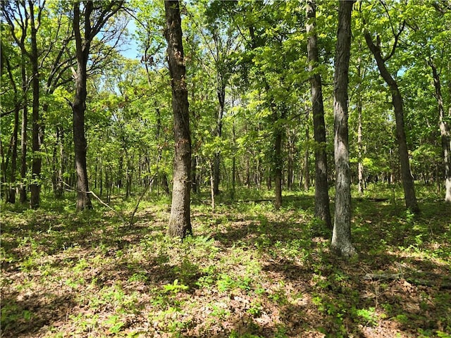 view of wooded area