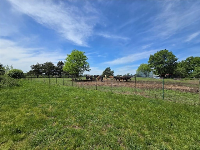 view of yard featuring a view of rural / pastoral area and fence