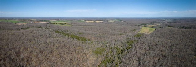 view of property location with a forest