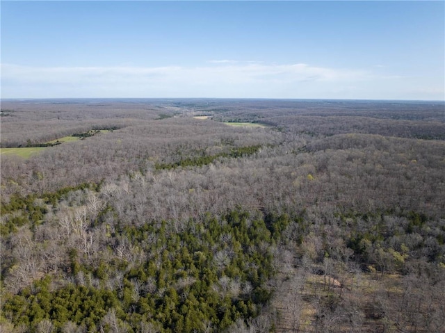 view of property location featuring a forest