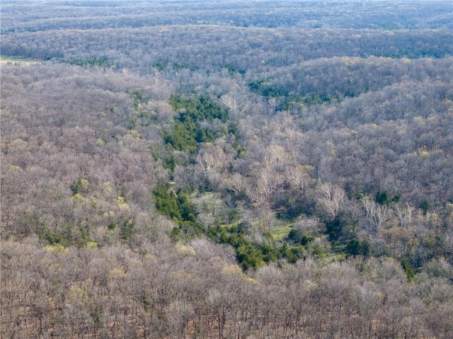 bird's eye view of a forest