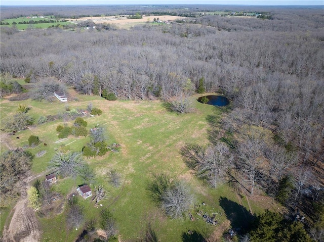view of property location featuring a large body of water, rural landscape, and a forest