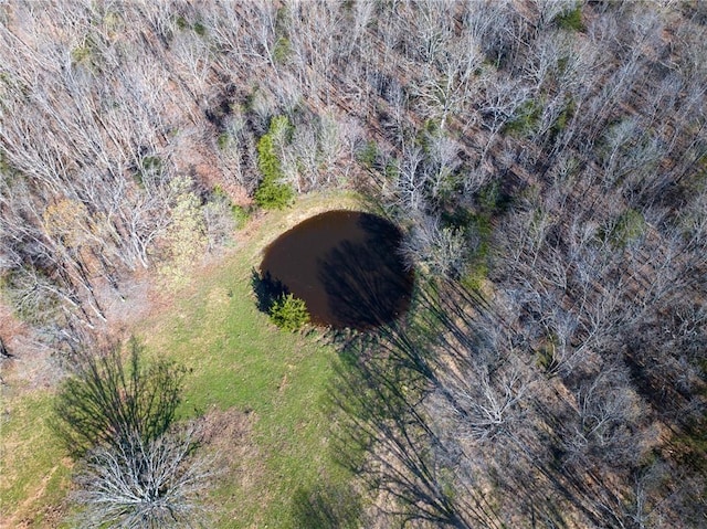 aerial overview of property's location