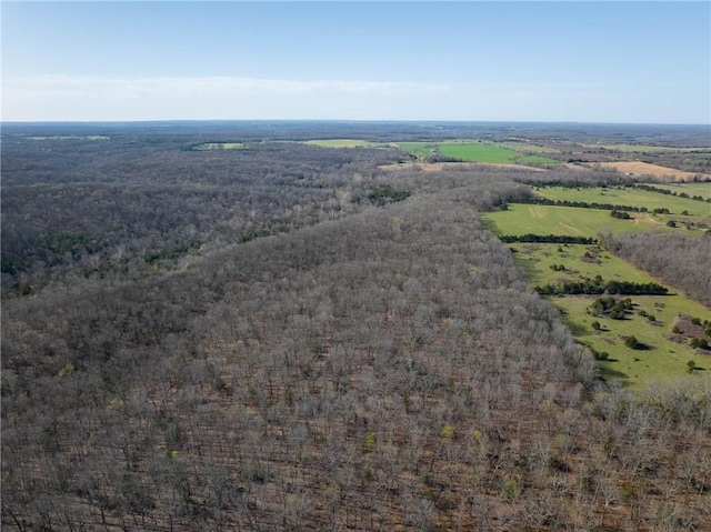 drone / aerial view of a forest