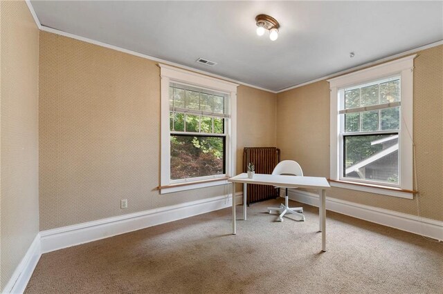 720 Indiana St, Lawrence, KS 66044 - photo 27