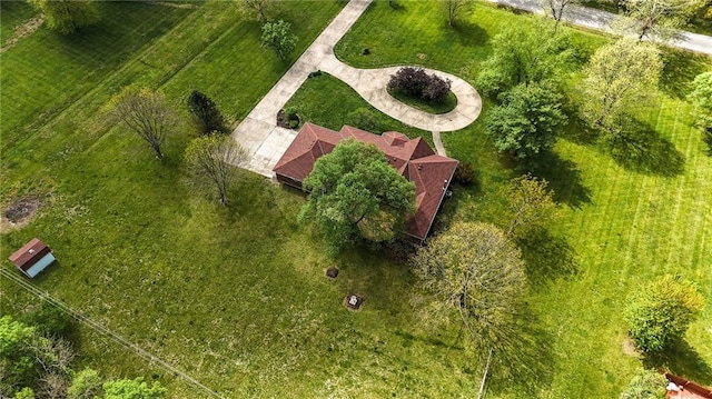 drone / aerial view