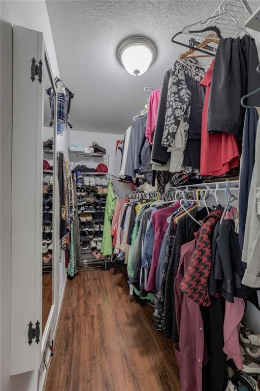 walk in closet featuring wood finished floors